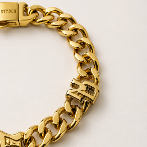 WIZ×ND Chain Bracelet (Gold/Silver)